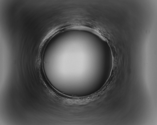 X0000085040005200703051402