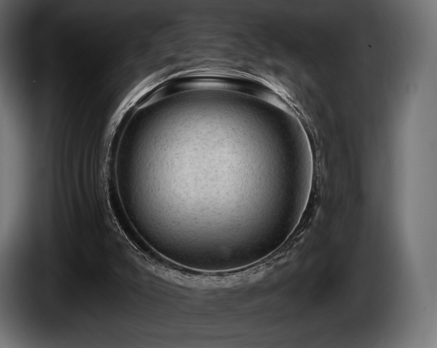 X0000085040007200703051402