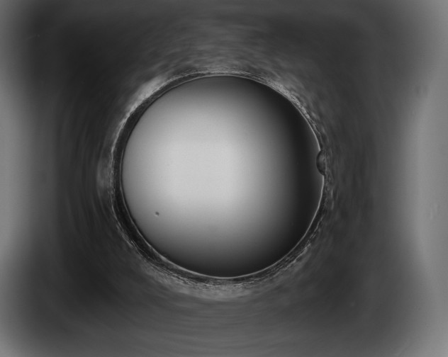 X0000085040008200703051402