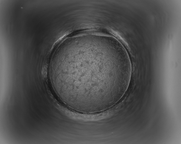 X0000085040010200703051402