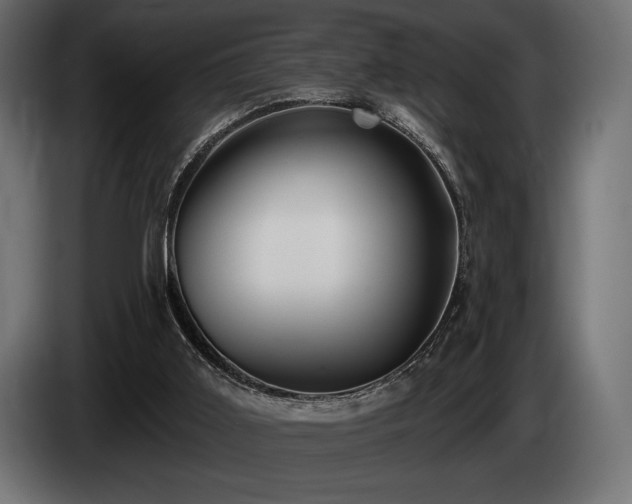 X0000085040011200703051402