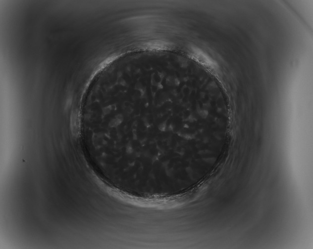 X0000085040012200703051402