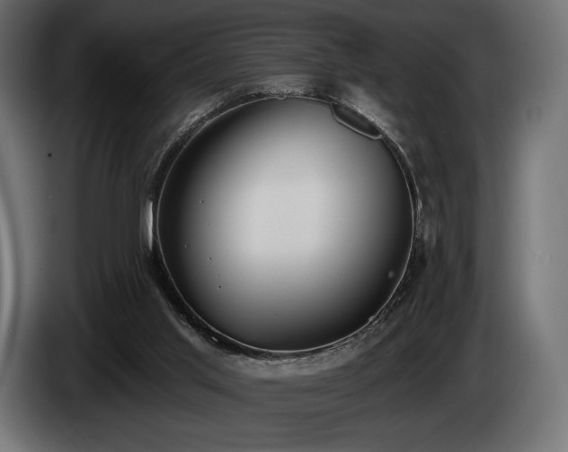 X0000085040013200703051402