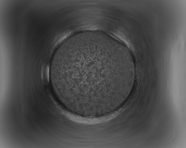 X0000085040014200703051402