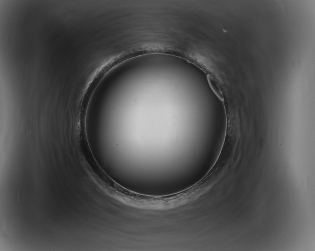 X0000085040015200703051402