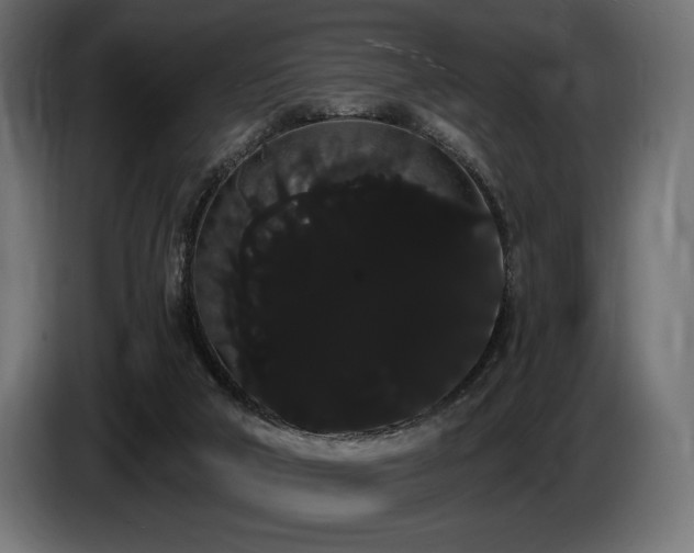 X0000085040018200703051402