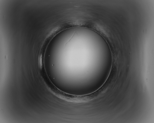 X0000085040020200703051402