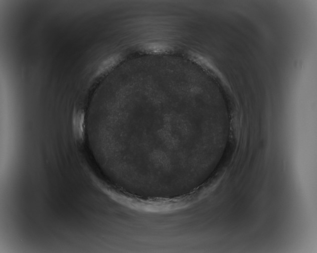 X0000085040024200703051402