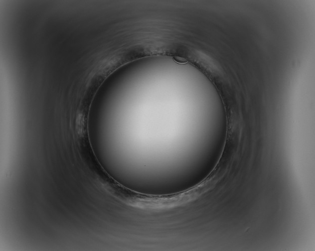 X0000085040025200703051402