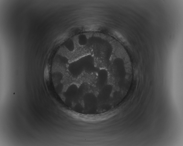 X0000085040026200703051402