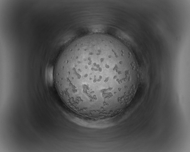 X0000085040028200703051402