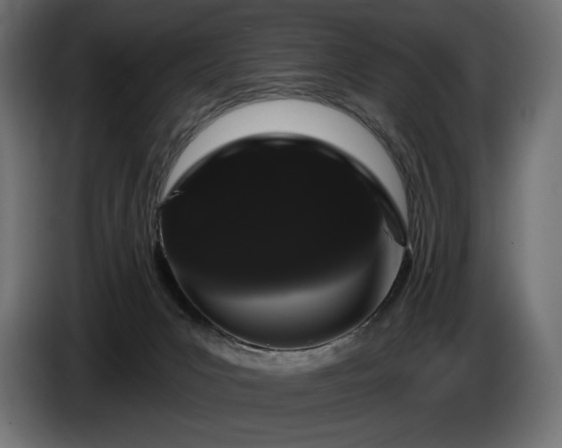 X0000085040031200703051402