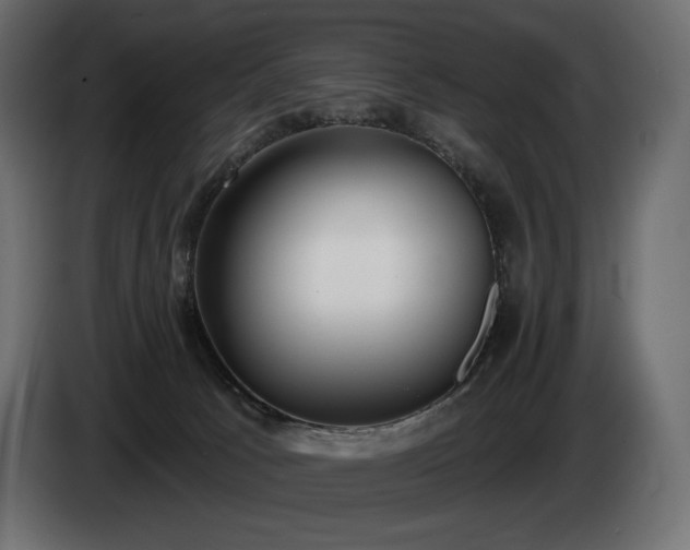 X0000085040033200703051402