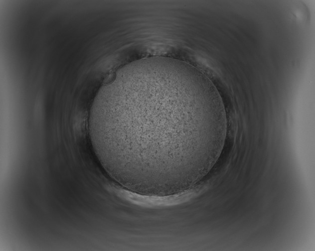 X0000085040034200703051402