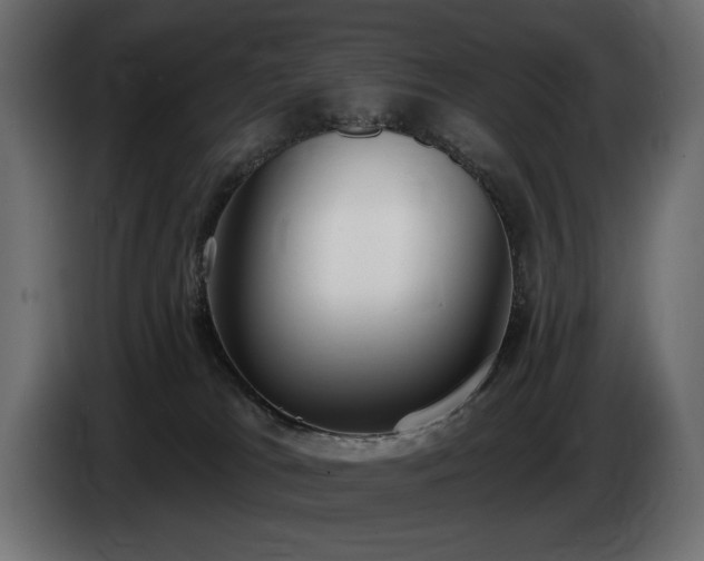 X0000085040037200703051402