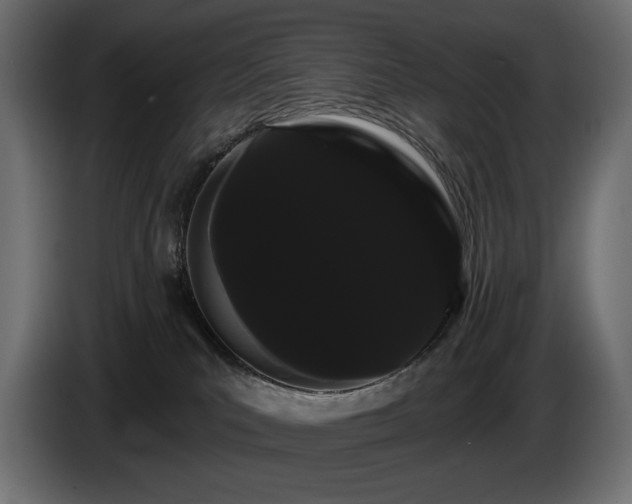 X0000085040039200703051402