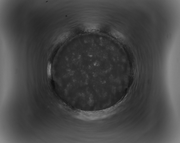 X0000085040041200703051402