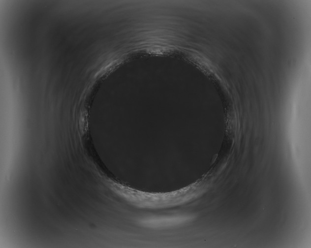 X0000085040043200703051402