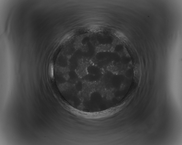 X0000085040046200703051402