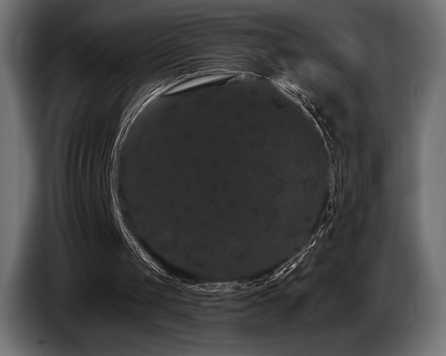 X0000085040049200703051400