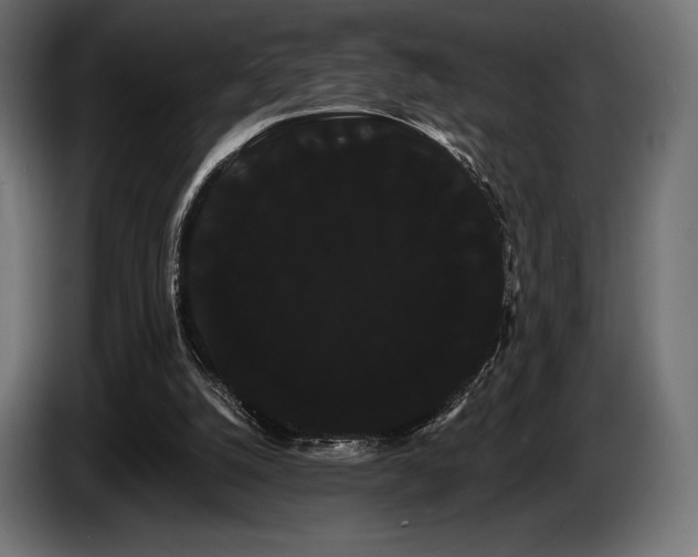 X0000085040056200703051401