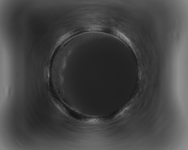 X0000085040059200703051401