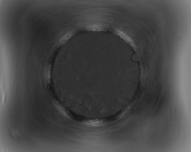 X0000085040065200703051401