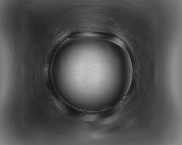 X0000085040066200703051401