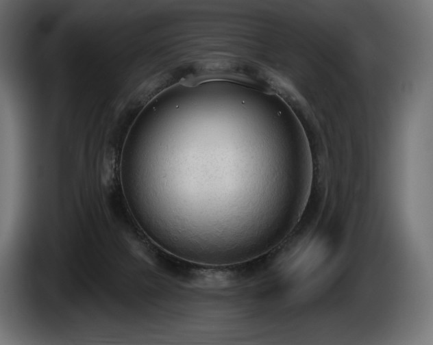 X0000085040073200703051401