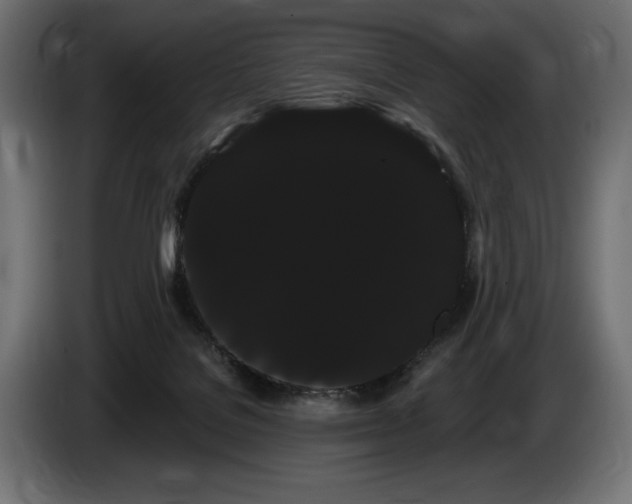 X0000085040076200703051401