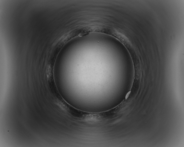 X0000085040077200703051401