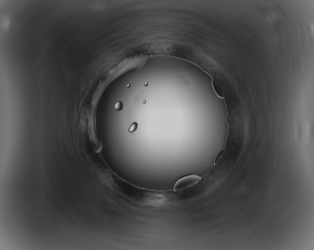 X0000085040083200703051401