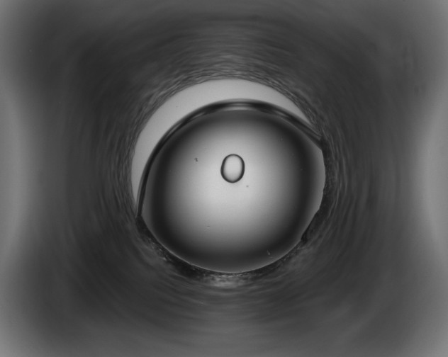 X0000085040088200703051401