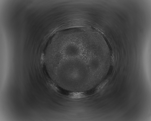 X0000085040093200703051401