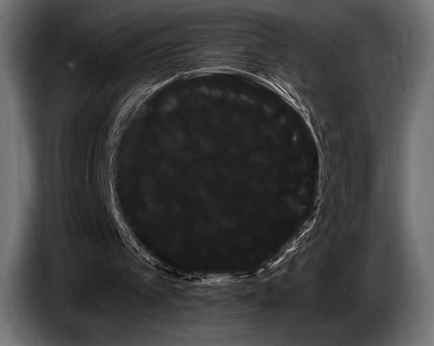 X0000085040097200703051400