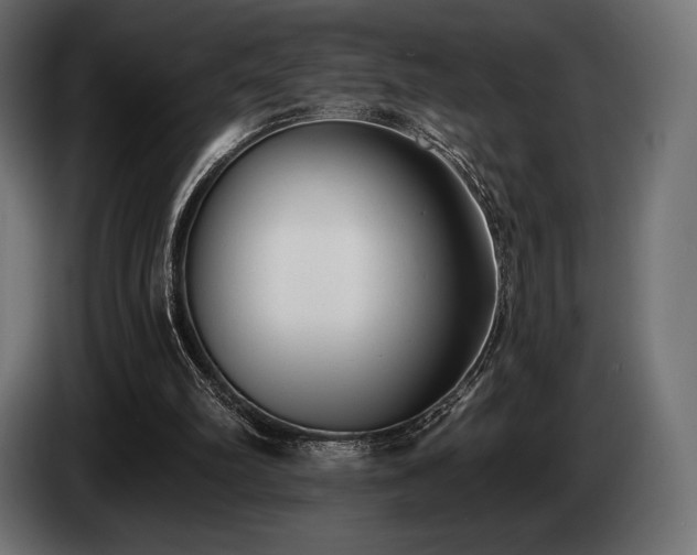 X0000085040102200703051400
