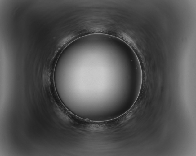 X0000085040106200703051400