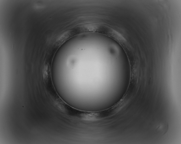 X0000085040122200703051400