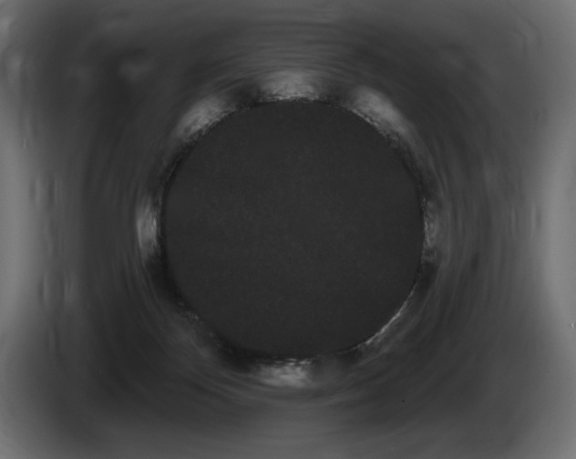 X0000085040124200703051400
