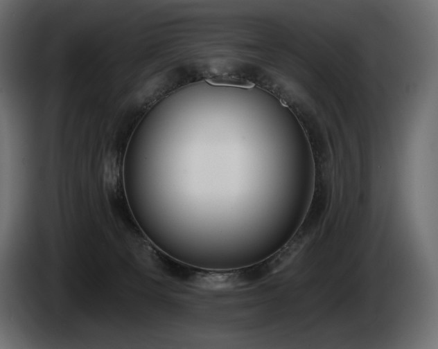 X0000085040129200703051400