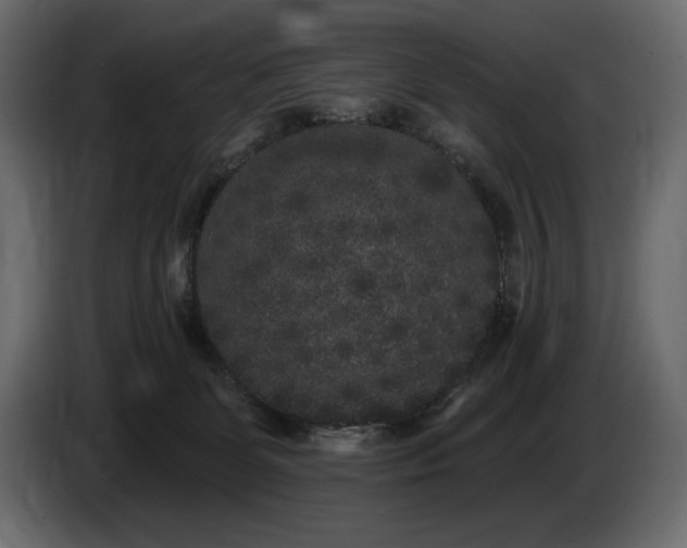 X0000085040131200703051400