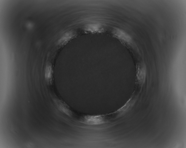 X0000085040132200703051400