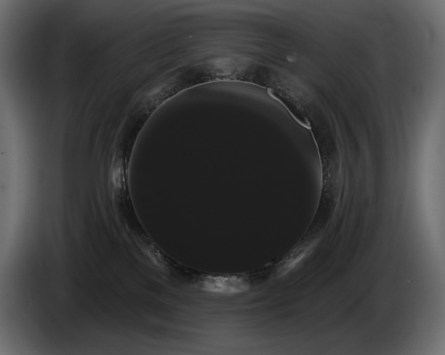 X0000085040137200703051400