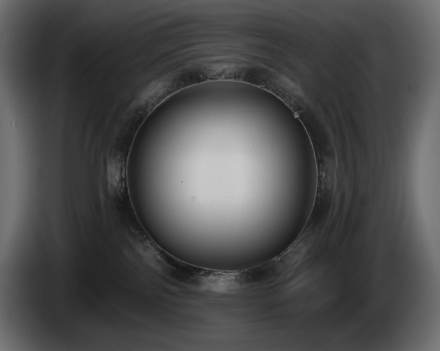 X0000085040138200703051359