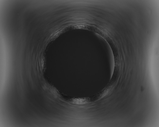 X0000085040139200703051359