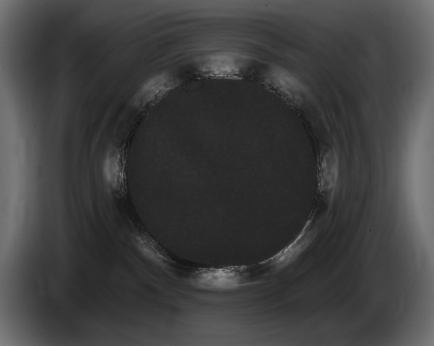 X0000085040140200703051359
