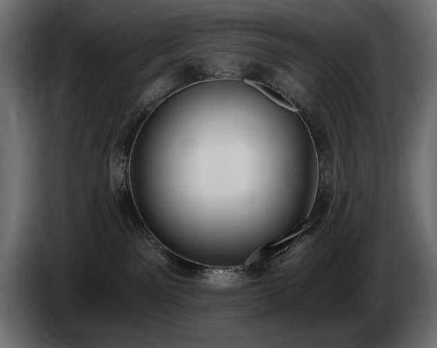 X0000085040141200703051359