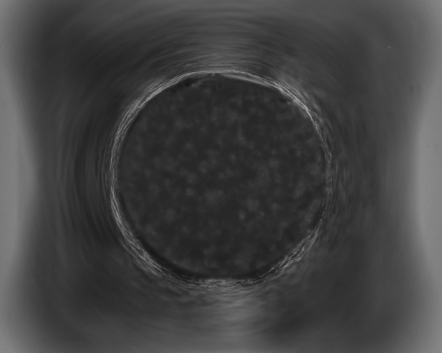 X0000085040145200703051359