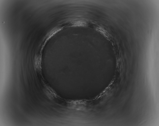 X0000085040146200703051359