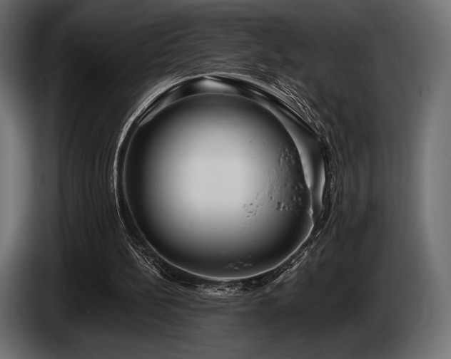 X0000085040148200703051359